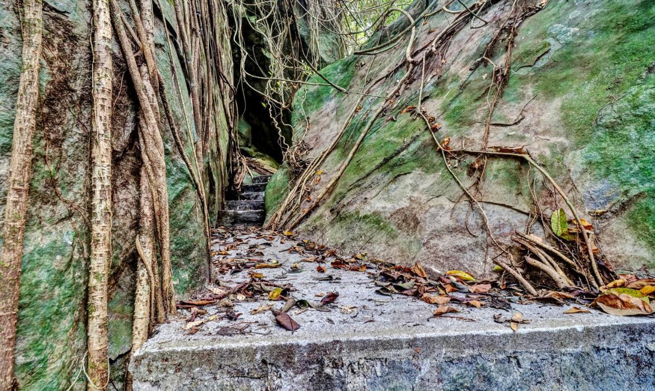 Treebo Tryst Jathika Resorts Kozsíkóde Kültér fotó