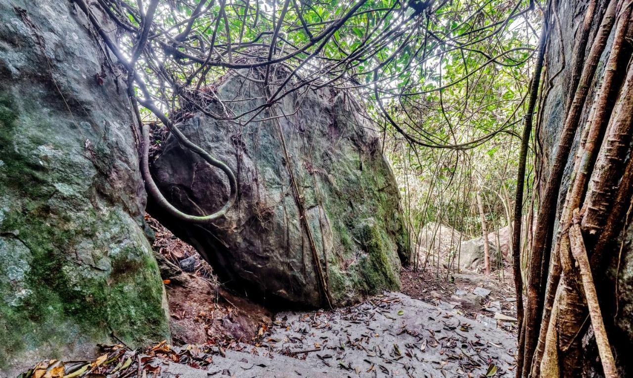 Treebo Tryst Jathika Resorts Kozsíkóde Kültér fotó